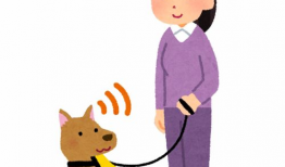 遛狗漫画,遛狗漫画中的温馨日常