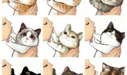 猫猫漫画图片,猫猫漫画里的奇幻冒险